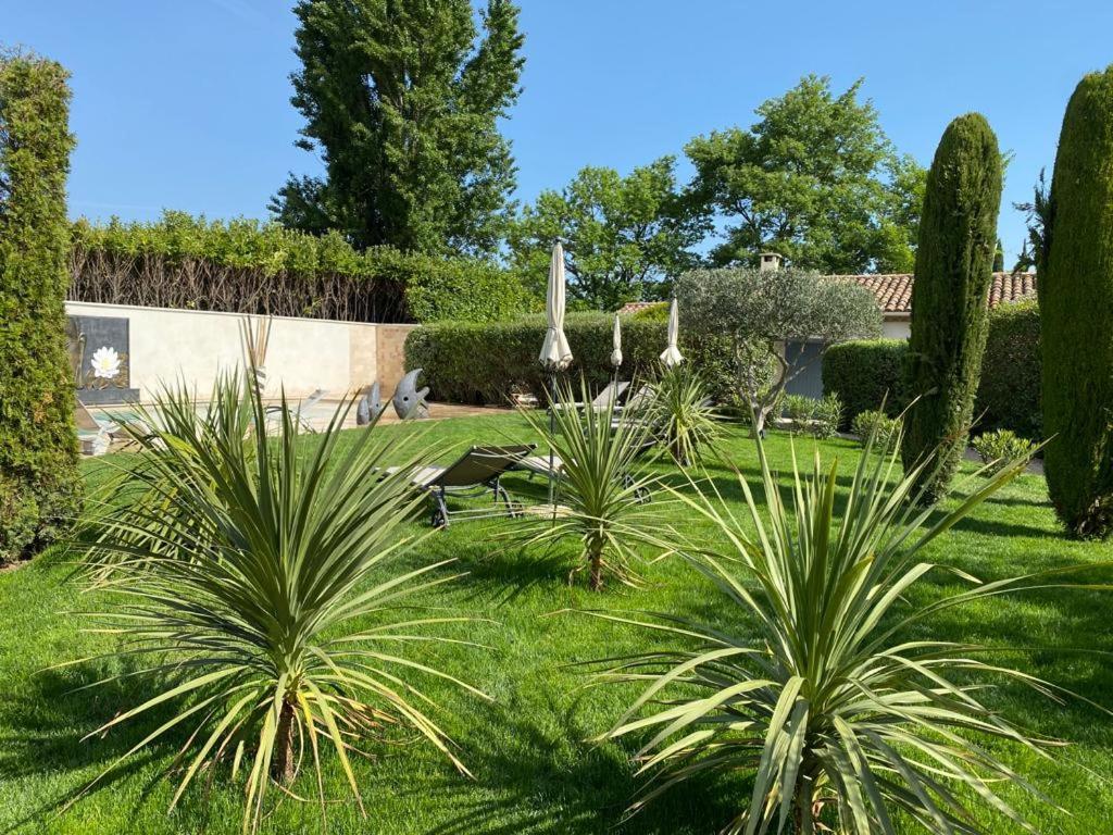 Mas Beau Soleil & Spa Cottages De Charme Avec Jacuzzi&Jardin Prives Saint-Rémy-de-Provence Zewnętrze zdjęcie